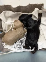 processed/2e38420c-1744-4ee7-8b06-d2b59c665361/listing/4c56b81b-6173-460f-baf5-b3ac9ebe6c09/9e75b815-21c5-456d-8623-cb9642a89a75