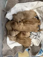 processed/2e38420c-1744-4ee7-8b06-d2b59c665361/listing/8509d48d-6d2f-4337-81f0-4182bcf7074d/00112c23-9d50-4948-a166-e2f2cfa0c757