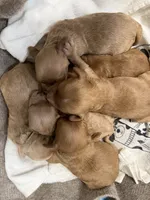 processed/2e38420c-1744-4ee7-8b06-d2b59c665361/listing/8bb8100f-97b5-433f-bbf3-f59972d3b92c/569e5a2c-a325-4bb1-9e7a-b54352539ad2