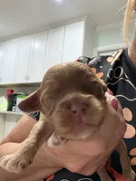 processed/2e38420c-1744-4ee7-8b06-d2b59c665361/listing/8bb8100f-97b5-433f-bbf3-f59972d3b92c/edc005df-9dca-45c2-b2af-751959ee4424