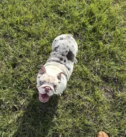 processed/2e38420c-1744-4ee7-8b06-d2b59c665361/listing/90a56ee0-9949-4c33-a436-e17ac73a03c6/221de0e0-e63b-4f2a-a991-f0a9d688b0cf