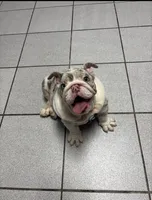 processed/2e38420c-1744-4ee7-8b06-d2b59c665361/listing/90a56ee0-9949-4c33-a436-e17ac73a03c6/807f1a1d-8bc4-4151-8f08-c4d5cf263a6a