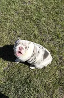 processed/2e38420c-1744-4ee7-8b06-d2b59c665361/listing/90a56ee0-9949-4c33-a436-e17ac73a03c6/e527a24e-f645-4195-b8f6-7057e97af772