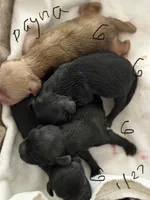 processed/2e38420c-1744-4ee7-8b06-d2b59c665361/listing/ef1f638d-aab2-43eb-817f-40082ebcca52/24c8cdb4-6716-4222-8677-57bf28abb30d