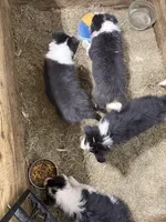 processed/2e38f050-ff02-494b-ac83-1b034c39a869/listing/11d6ae27-790f-40a6-a2d3-a31dc180a57a/7449fcf1-c3cf-449f-b720-8bd7d2ebd904