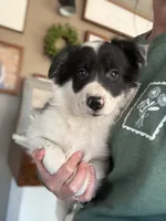 processed/2e38f050-ff02-494b-ac83-1b034c39a869/listing/11d6ae27-790f-40a6-a2d3-a31dc180a57a/c1482b29-0e0e-48fb-9620-b7990026066d