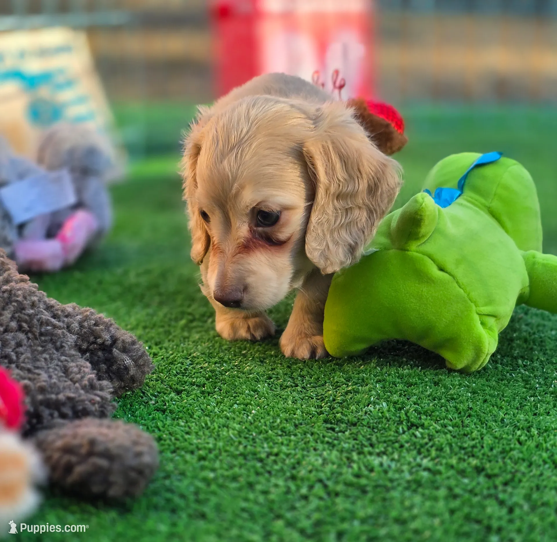 processed/2e404b47-6a9c-4380-aa7b-f2a985789683/listing/0c69ca7a-2f9b-4b31-be78-7c60193ba7a2/0a0afd75-0e28-47f6-acdc-0df32c299ca0