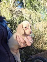 processed/2e404b47-6a9c-4380-aa7b-f2a985789683/listing/0c69ca7a-2f9b-4b31-be78-7c60193ba7a2/2858009e-59ec-475e-91b8-e6fe1ecaa14e