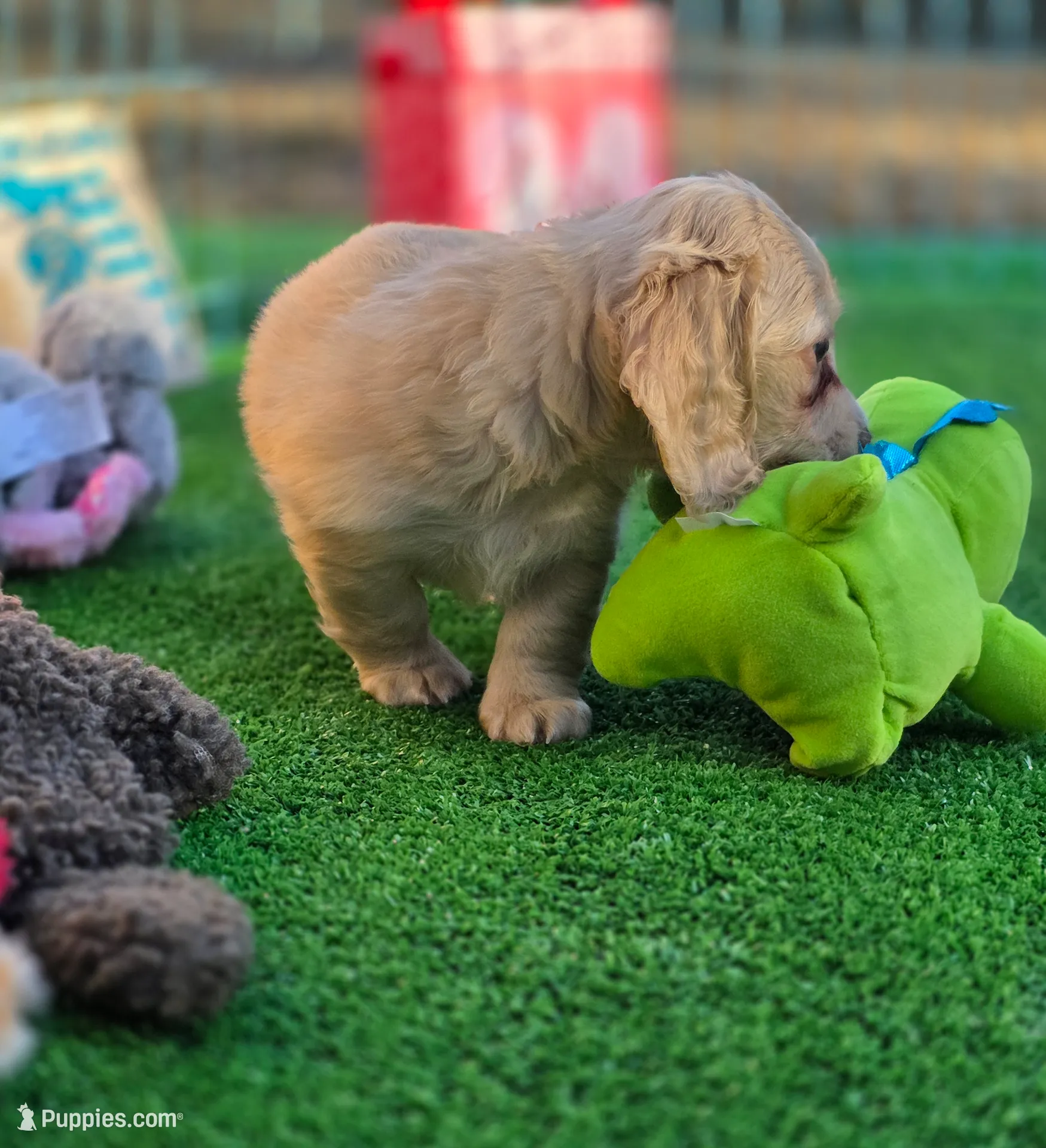 processed/2e404b47-6a9c-4380-aa7b-f2a985789683/listing/0c69ca7a-2f9b-4b31-be78-7c60193ba7a2/4113e4e1-ef17-444b-b075-346c0474ae4c