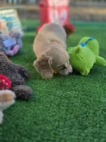 processed/2e404b47-6a9c-4380-aa7b-f2a985789683/listing/0c69ca7a-2f9b-4b31-be78-7c60193ba7a2/41689b6c-3bd3-4b02-bfbe-d20f004fe20c