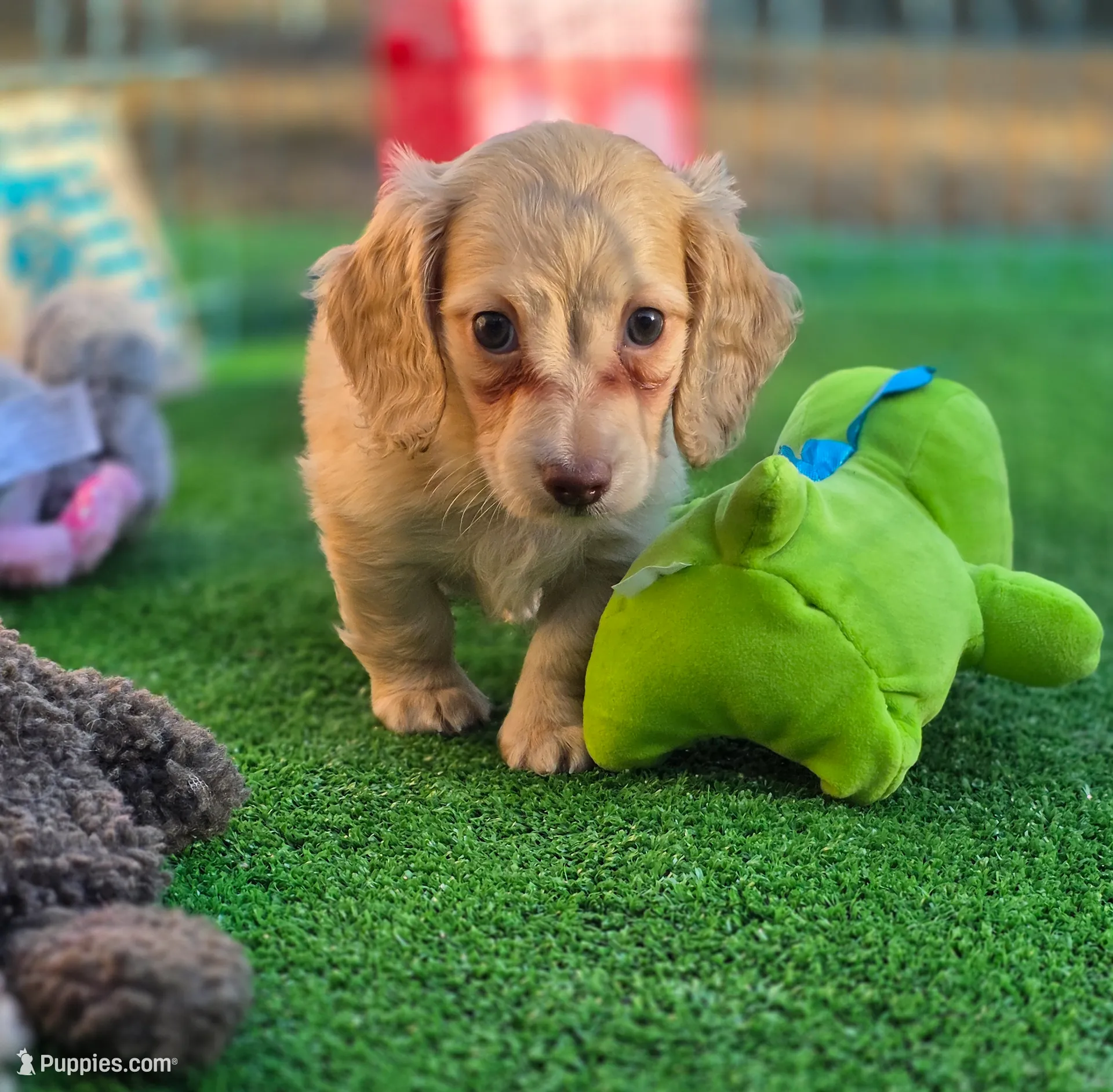 processed/2e404b47-6a9c-4380-aa7b-f2a985789683/listing/0c69ca7a-2f9b-4b31-be78-7c60193ba7a2/6a8375d1-3e55-489a-ae6d-c5e10afc600f