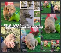 processed/2e404b47-6a9c-4380-aa7b-f2a985789683/listing/0c69ca7a-2f9b-4b31-be78-7c60193ba7a2/b2ba9f84-6f3b-45e8-8e78-c0dfda289474