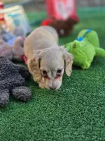 processed/2e404b47-6a9c-4380-aa7b-f2a985789683/listing/0c69ca7a-2f9b-4b31-be78-7c60193ba7a2/fa56d449-32e1-4cc3-a84a-38ec4f697b9f