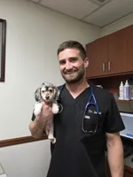 BLING, a male Miniature Dachshund for sale in Sebring, FL – 6 of 10