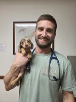 CAMEO, a female Miniature Dachshund for sale in Sebring, FL – 5 of 6