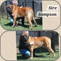 processed/2e4a2d80-114f-41c5-b35b-b41fa913db17/facility/5e16152c-bacb-479c-8bd5-95a4e997fd52