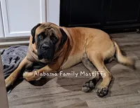 processed/2e4a2d80-114f-41c5-b35b-b41fa913db17/facility/af00fc0f-49bd-4abc-a559-bd604b61fb19