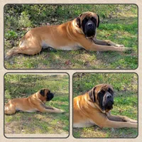 processed/2e4a2d80-114f-41c5-b35b-b41fa913db17/facility/c4ca0329-3e5e-48b7-b1fe-270c54e02a0c