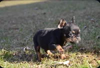 processed/2e562b43-c13a-40e1-baae-794a615e5e0b/listing/37e5eec5-1220-4b8b-9daa-86f63240e936/04c89fb7-ce45-4eaf-8328-86815059636a