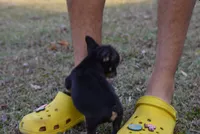 processed/2e562b43-c13a-40e1-baae-794a615e5e0b/listing/37e5eec5-1220-4b8b-9daa-86f63240e936/95cddf5f-375e-4779-b941-cd166e660a34