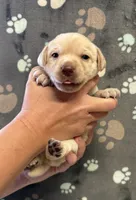 processed/2e5c2469-1c50-4d26-adfa-3e518a2c8d5d/listing/ac5b5e6f-3673-468d-a567-a0e1fb8a2274/07035b48-2544-42e6-a849-fe09e78a949b