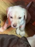 processed/2e5c2469-1c50-4d26-adfa-3e518a2c8d5d/listing/ac5b5e6f-3673-468d-a567-a0e1fb8a2274/3541d99b-9c99-4a46-8af0-e576985a45c0