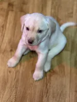 processed/2e5c2469-1c50-4d26-adfa-3e518a2c8d5d/listing/ac5b5e6f-3673-468d-a567-a0e1fb8a2274/b86bc69d-57c4-44bc-9d4d-7365ce2c2f44