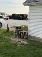 Facility photo