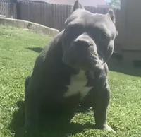 processed/2e5f0aea-8497-461a-af0c-ef515cdd4269/listing/01a7641d-8d1a-4f4c-8360-9f9dc63ba41d/3ad0f05b-b48e-4efc-a5a8-dfda4080a4fd