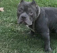 processed/2e5f0aea-8497-461a-af0c-ef515cdd4269/listing/01a7641d-8d1a-4f4c-8360-9f9dc63ba41d/985e4897-ef89-4d6f-b2cb-c3a7601e759c