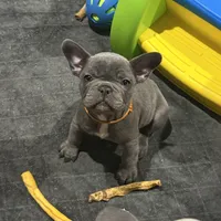 processed/2e6c39f1-7c00-439d-90f8-c15b4c716daf/facility/6e00cbc3-6755-4f04-8fcf-5d7577c7783b