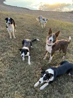 processed/2e6cb594-dd51-4365-b4ce-bf81c6fbc9ff/facility/f2958198-e64c-48df-8449-afd999291b43