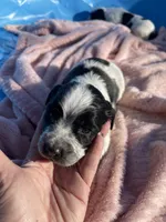 processed/2e74f29a-f110-40f5-b309-c2d1e1c67f7b/listing/115150f0-2686-467e-aa65-ae03b2aedc07/082da128-3b3f-412f-9468-6aa15016c990