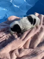 processed/2e74f29a-f110-40f5-b309-c2d1e1c67f7b/listing/115150f0-2686-467e-aa65-ae03b2aedc07/4cf40d19-93f1-4351-9a22-31be09c10bc7