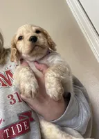 processed/2e74f29a-f110-40f5-b309-c2d1e1c67f7b/listing/65f9b2ae-0b3b-43d3-9601-aa390defe698/1a4c2569-c4ea-4c00-8c4c-1b8a6f8bfba1