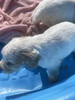 processed/2e74f29a-f110-40f5-b309-c2d1e1c67f7b/listing/65f9b2ae-0b3b-43d3-9601-aa390defe698/2f1e8d81-7e8a-4771-8bb8-9d07355d474d