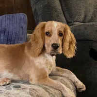 processed/2e74f29a-f110-40f5-b309-c2d1e1c67f7b/listing/65f9b2ae-0b3b-43d3-9601-aa390defe698/80f746fd-756b-4e94-9cf3-bf7365ef21a4