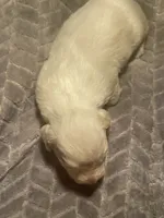 processed/2e74f29a-f110-40f5-b309-c2d1e1c67f7b/listing/65f9b2ae-0b3b-43d3-9601-aa390defe698/e454d744-def9-47ff-8a64-b3cc8607089e