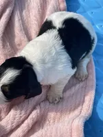 processed/2e74f29a-f110-40f5-b309-c2d1e1c67f7b/listing/8052e4d9-707e-4b22-9e7c-4fd914dc53ef/3becdc9f-8b42-4715-b992-d318831745cc