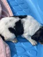 processed/2e74f29a-f110-40f5-b309-c2d1e1c67f7b/listing/8052e4d9-707e-4b22-9e7c-4fd914dc53ef/e15738cd-9155-4f96-acdd-676c010e3b1b