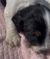 processed/2e74f29a-f110-40f5-b309-c2d1e1c67f7b/listing/849fe892-4523-4ee5-b9fc-e7298ff09afe/711f9ffc-5a41-4c02-8b4d-2ec6120c2d9e