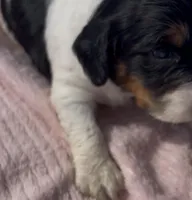 processed/2e74f29a-f110-40f5-b309-c2d1e1c67f7b/listing/849fe892-4523-4ee5-b9fc-e7298ff09afe/755a5570-6842-49b7-8d2f-e5100876867d