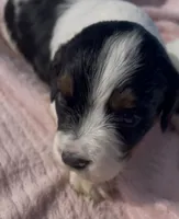 processed/2e74f29a-f110-40f5-b309-c2d1e1c67f7b/listing/849fe892-4523-4ee5-b9fc-e7298ff09afe/78ab8a09-62dc-405a-bdda-a997d63be092