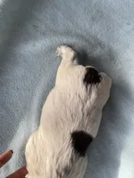 processed/2e74f29a-f110-40f5-b309-c2d1e1c67f7b/listing/93bc0ae5-3b15-4038-8193-f1e7872b59a2/08b2faa8-033b-4f74-8451-208509aa1545