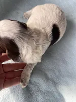 processed/2e74f29a-f110-40f5-b309-c2d1e1c67f7b/listing/93bc0ae5-3b15-4038-8193-f1e7872b59a2/def0612e-932e-4fe4-ab7a-7cc0c9c37ffa