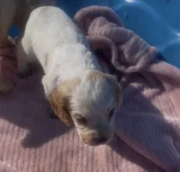 processed/2e74f29a-f110-40f5-b309-c2d1e1c67f7b/listing/acb709b5-ea0c-432c-a726-620c482c1843/02293b83-dfea-4bc5-a5e7-a00b6c7ce031