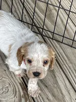 processed/2e74f29a-f110-40f5-b309-c2d1e1c67f7b/listing/acb709b5-ea0c-432c-a726-620c482c1843/6bf27e39-fa53-43a7-9564-cfbff62cdaa0