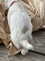 processed/2e74f29a-f110-40f5-b309-c2d1e1c67f7b/listing/acb709b5-ea0c-432c-a726-620c482c1843/6f62537c-0049-4c83-b368-b37d636142ad