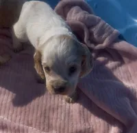 processed/2e74f29a-f110-40f5-b309-c2d1e1c67f7b/listing/acb709b5-ea0c-432c-a726-620c482c1843/ea842117-6794-40cd-a5b9-7087e3865bd3