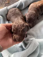 processed/2e74f29a-f110-40f5-b309-c2d1e1c67f7b/listing/dbe39901-a093-493b-a425-f4dd196feed6/4b0dde4a-c98d-446b-a1e5-80a7b4d2f324